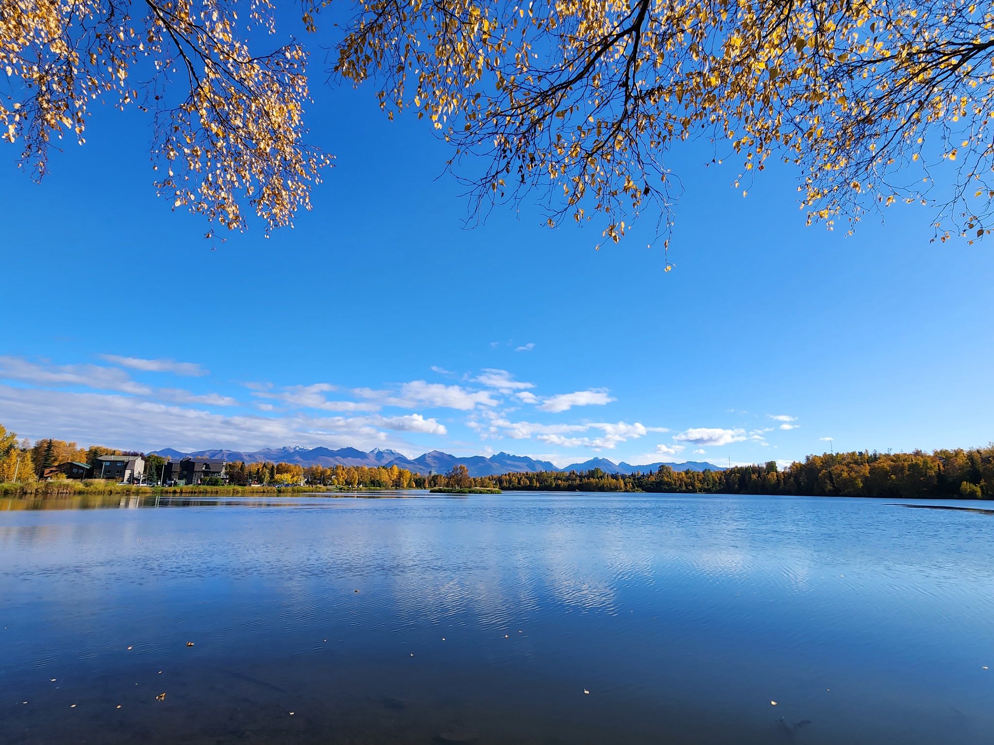 May be an image of lake and nature