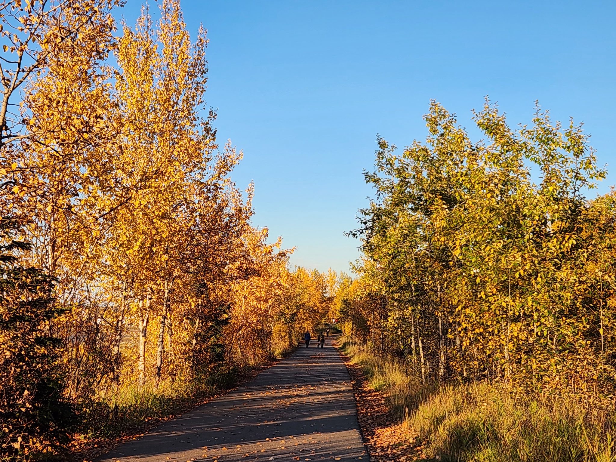 No photo description available.