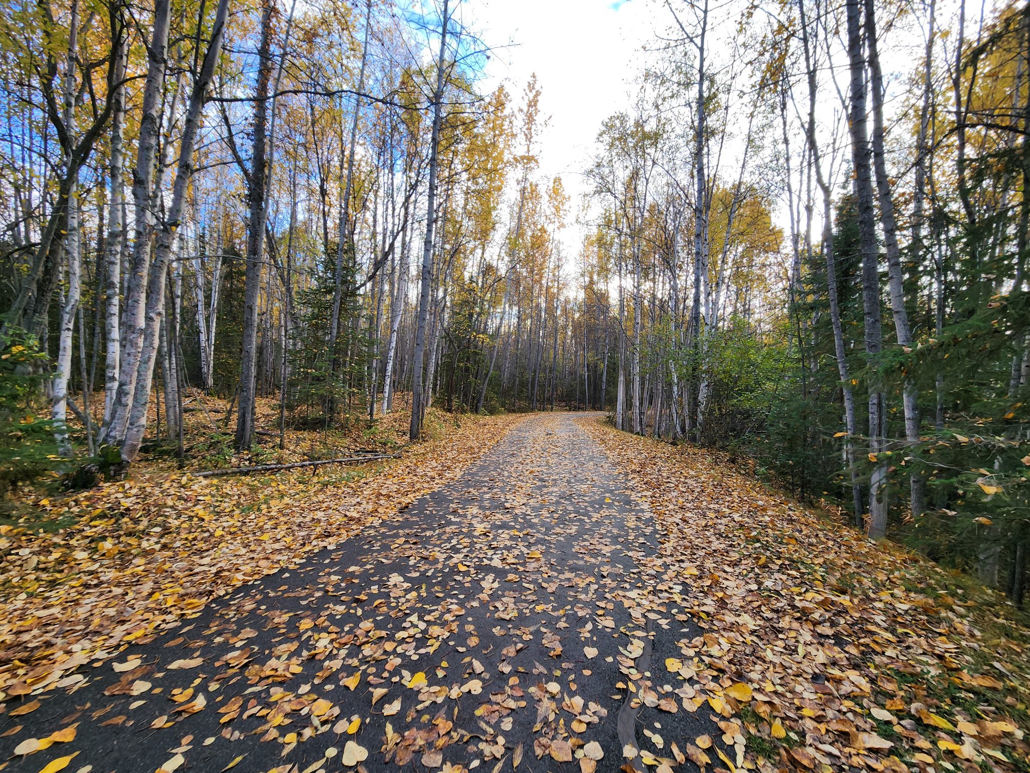 May be an image of road and nature