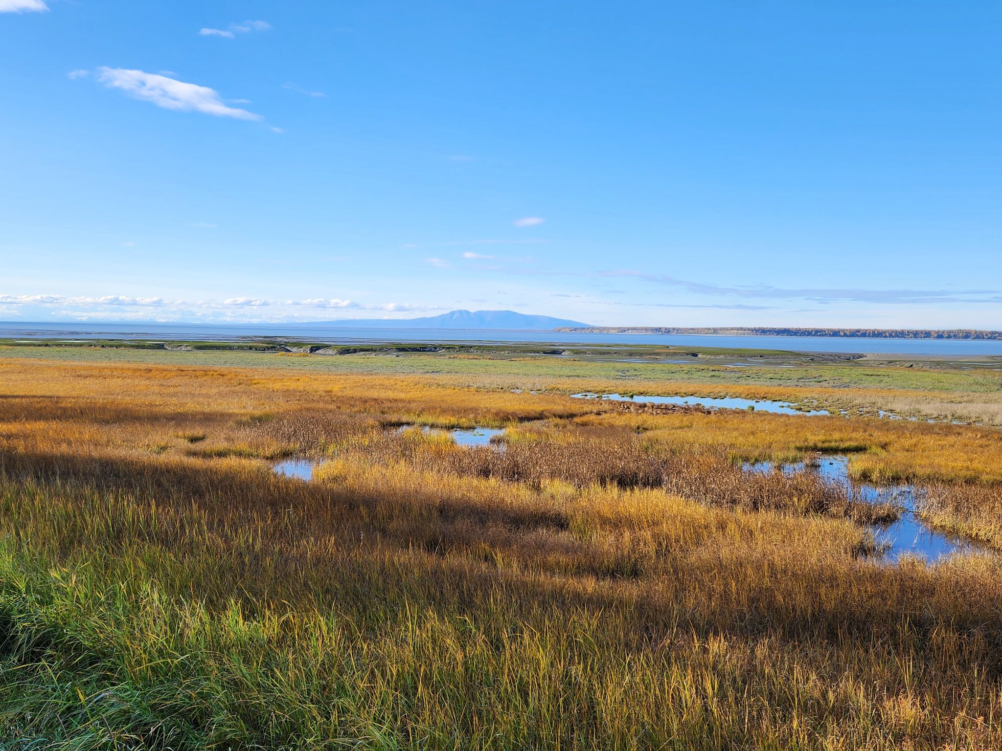 No photo description available.