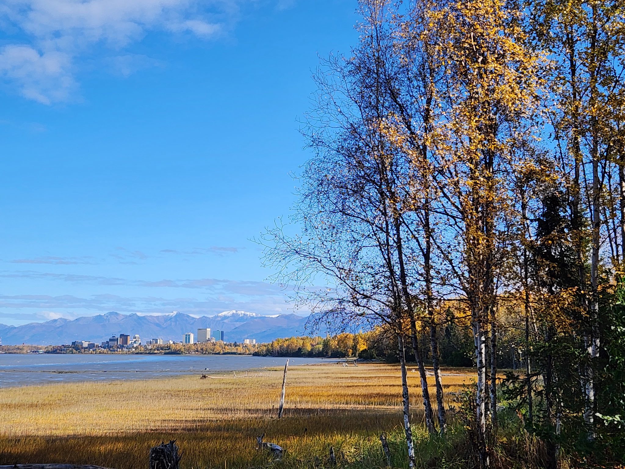 May be an image of nature