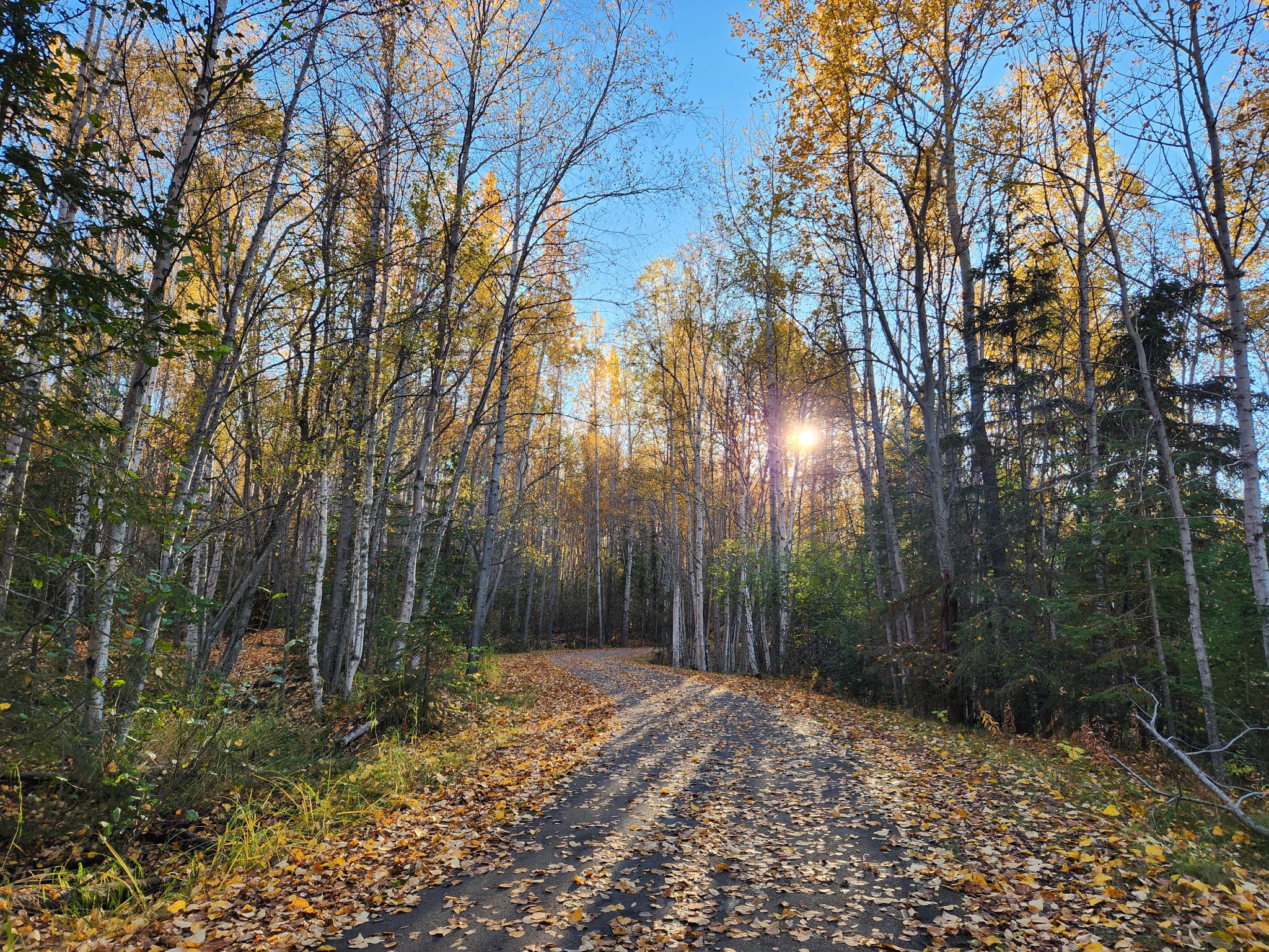 May be an image of road and nature