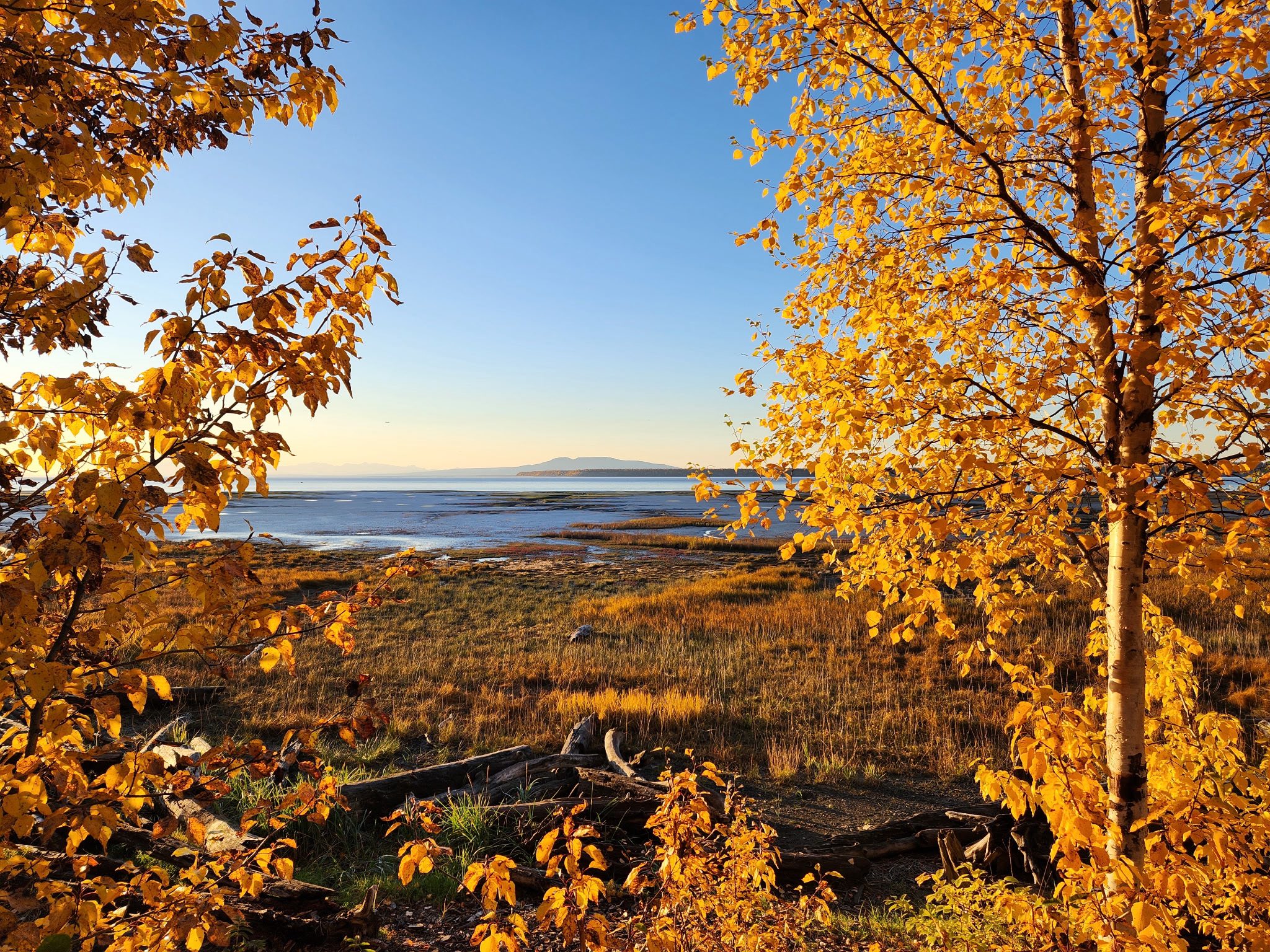 May be an image of nature