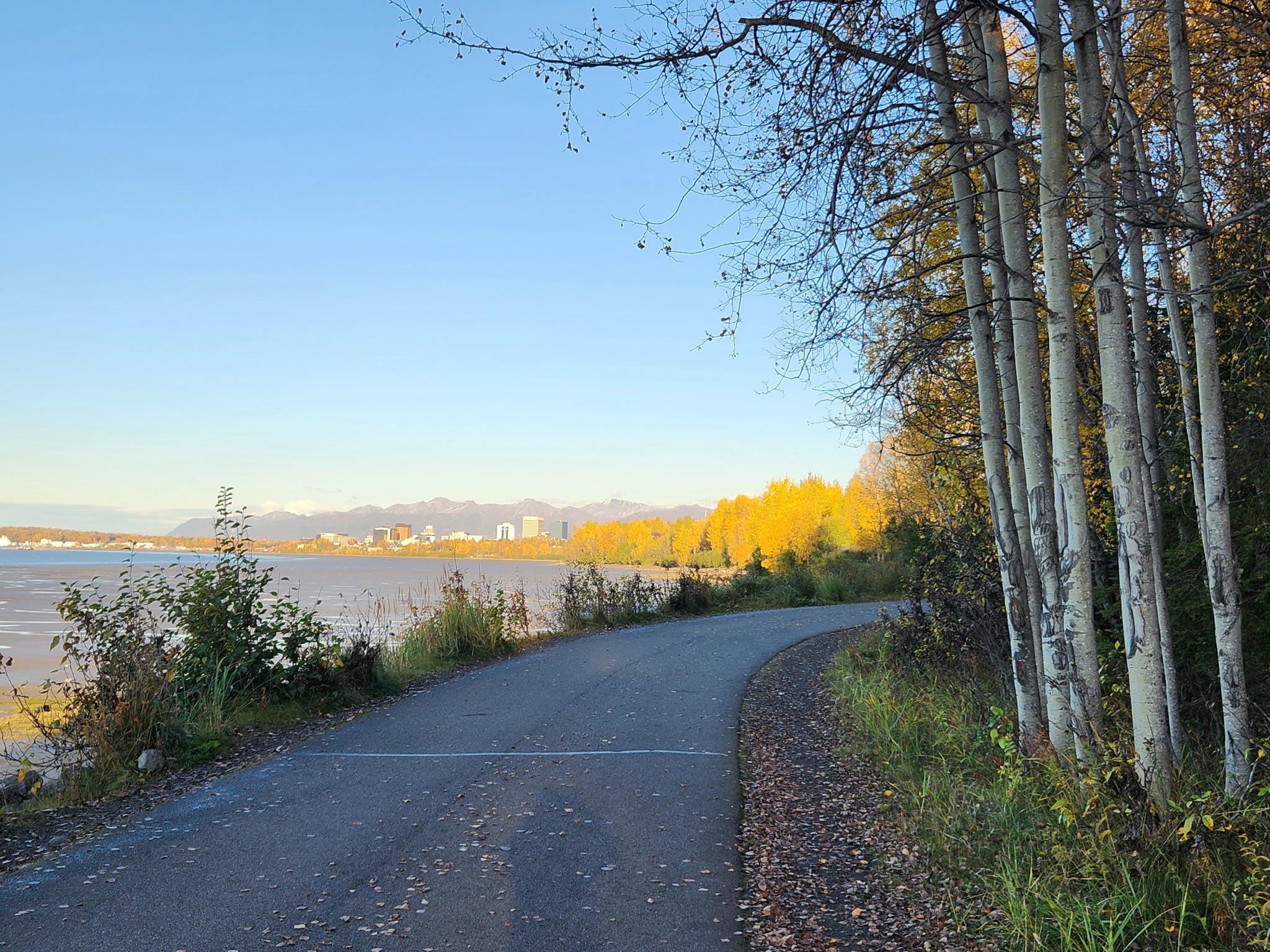 May be an image of road and nature